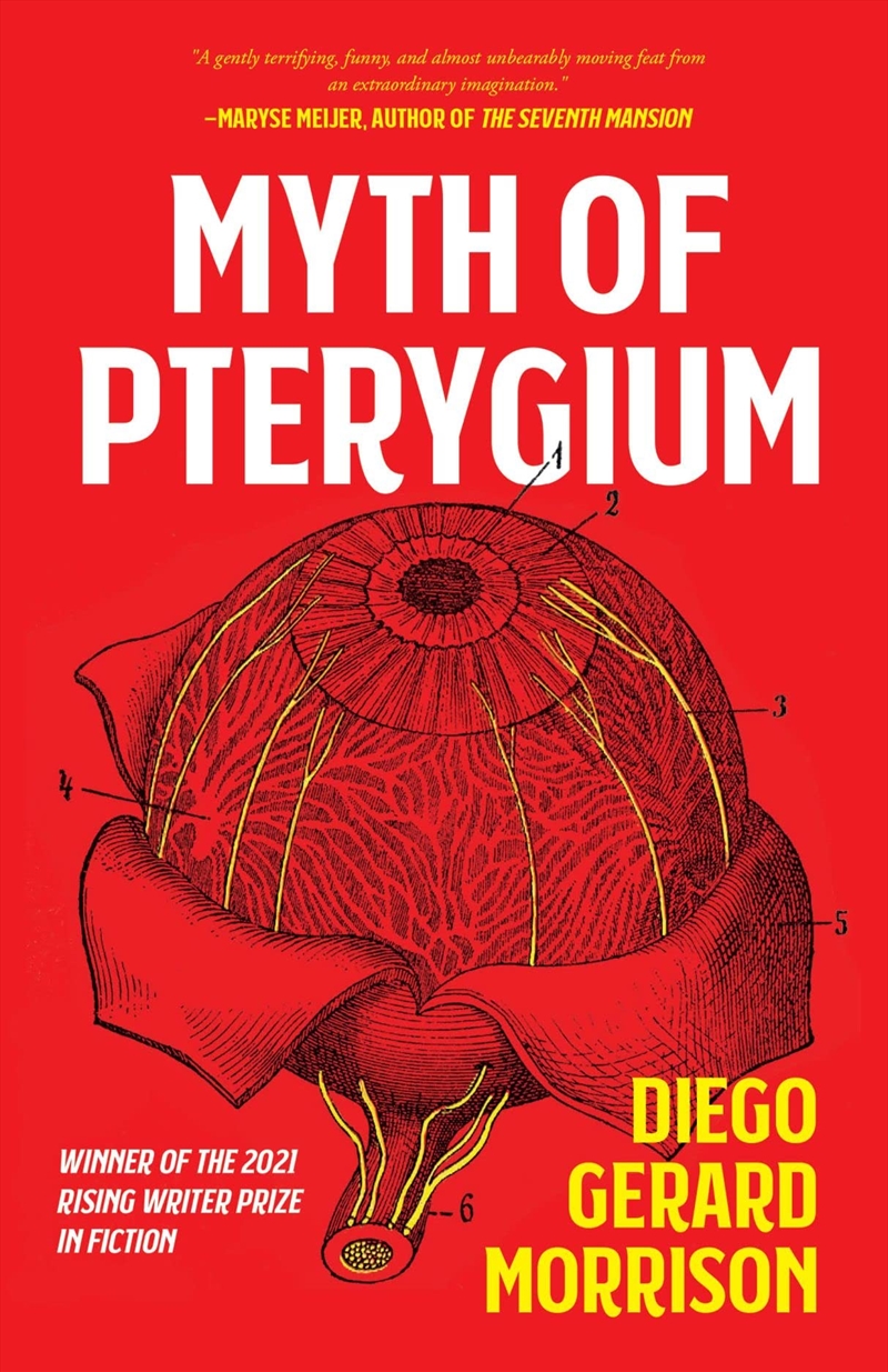 Myth Of Pterygium/Product Detail/General Fiction Books