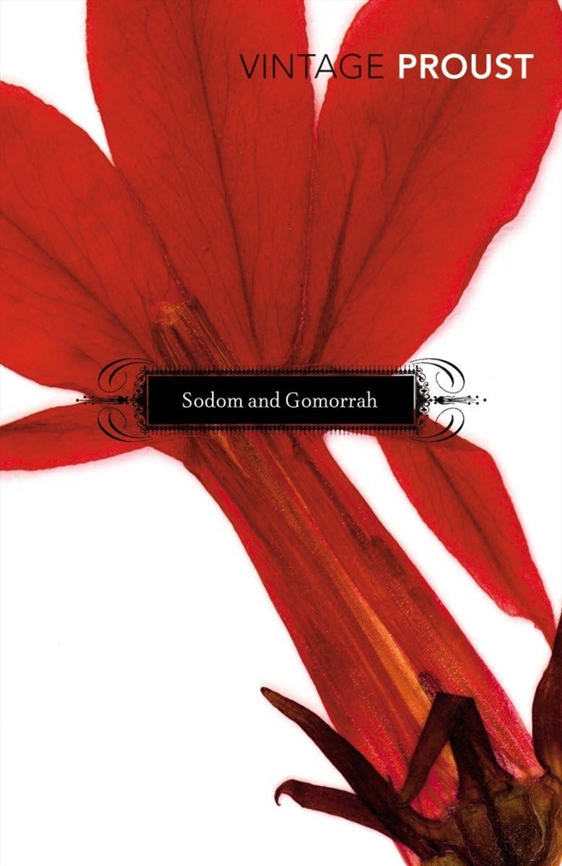 Sodom & Gomorrah/Product Detail/General Fiction Books