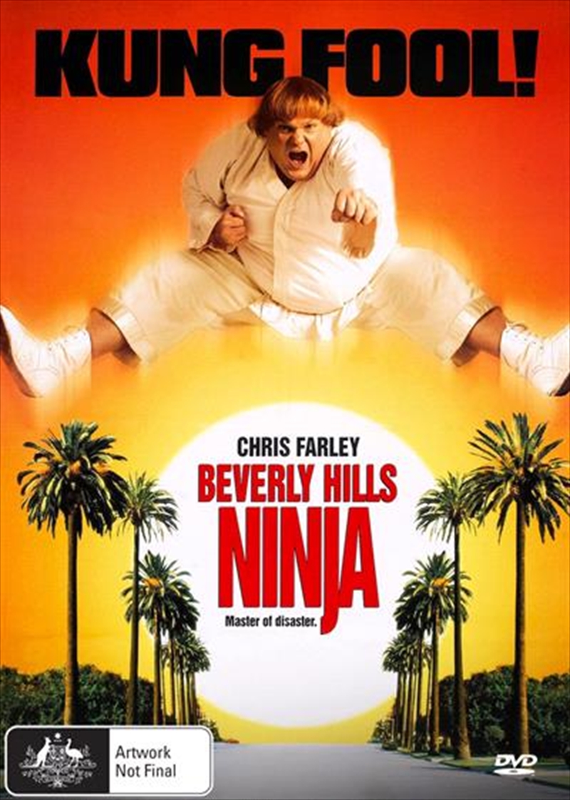 Beverly Hills Ninja/Product Detail/Action