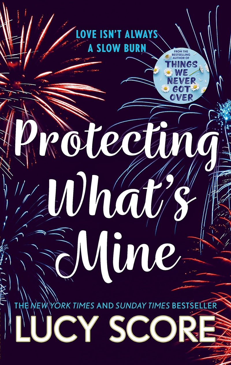 Protecting What's Mine/Product Detail/General Fiction Books