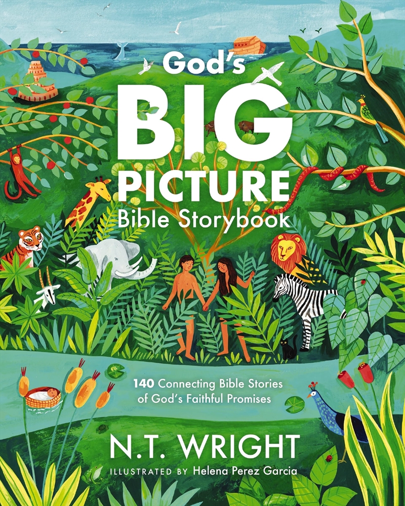 Gods Big Picture Bible Storybook/Product Detail/Childrens