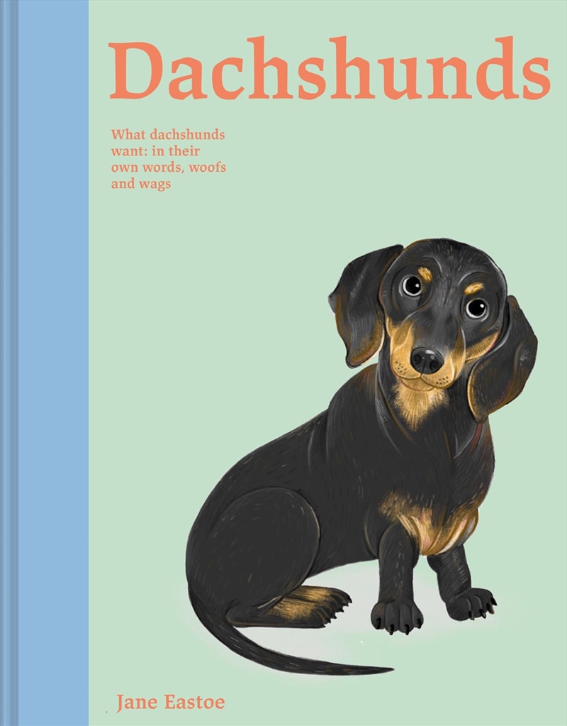 Dachshunds/Product Detail/Animals & Nature