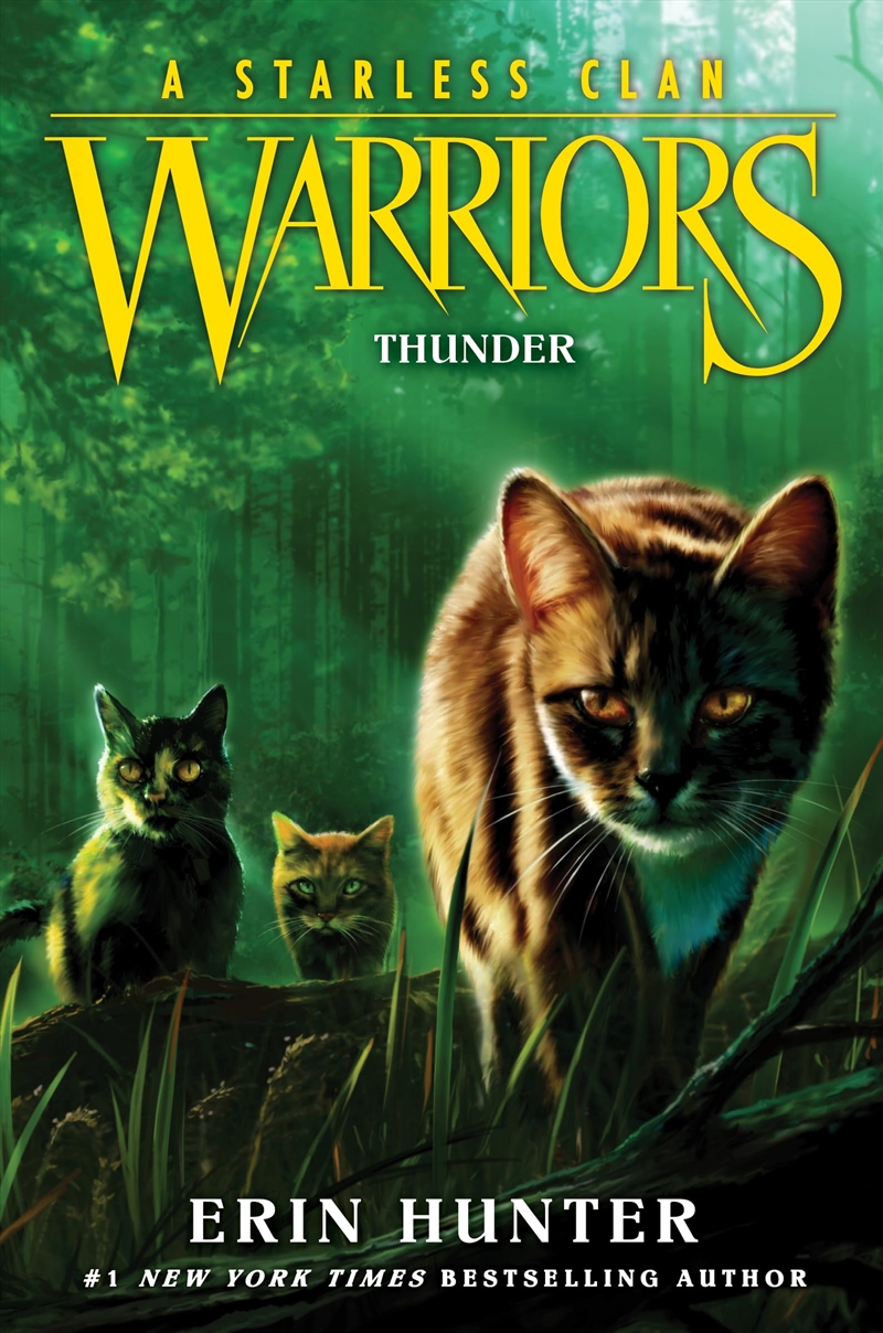 Warriors/Product Detail/Childrens Fiction Books