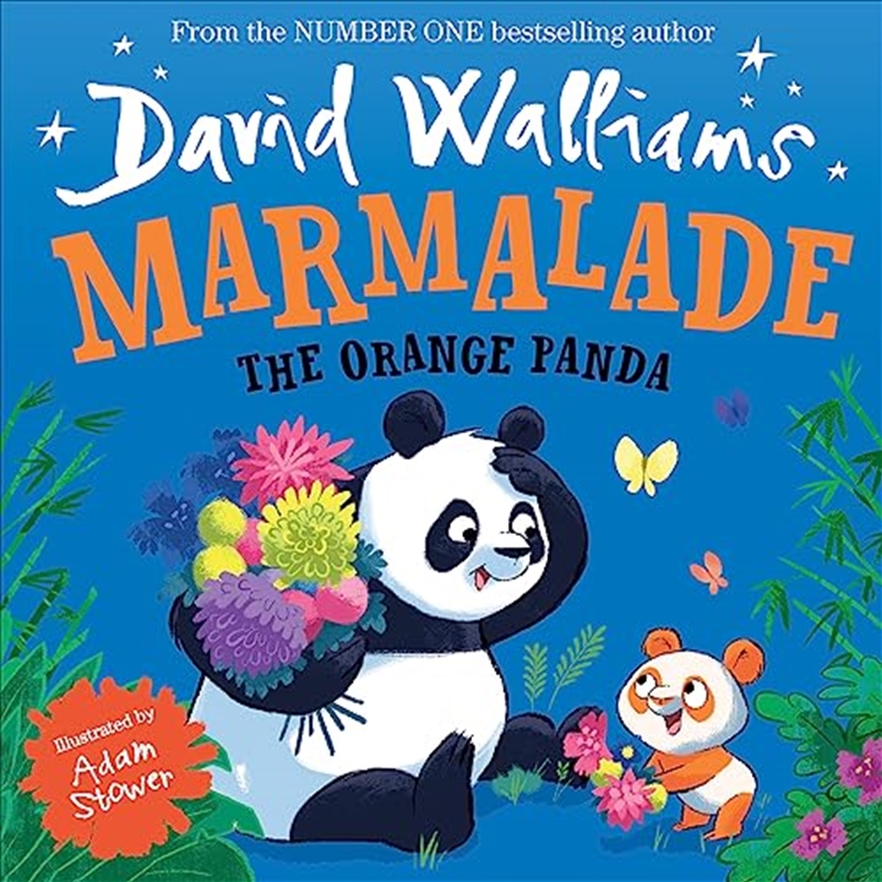 Marmalade The Orange Panda/Product Detail/Childrens Fiction Books