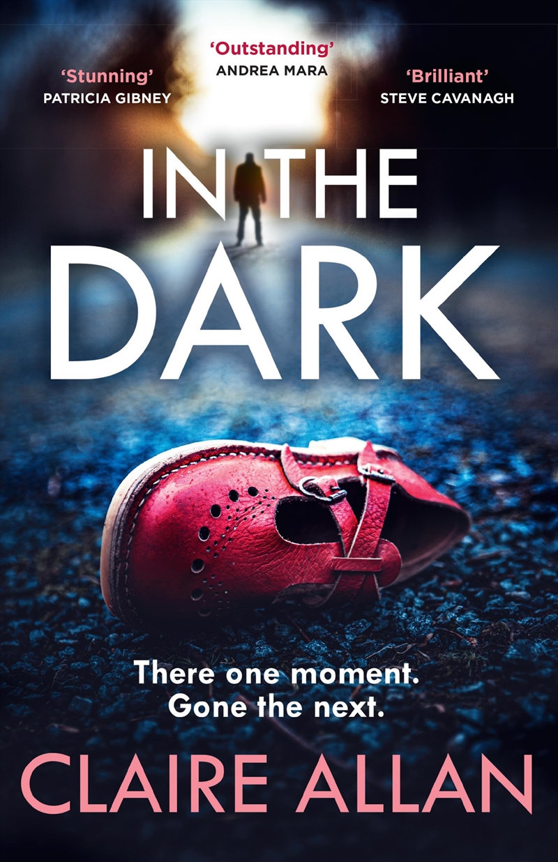 In the Dark/Product Detail/Thrillers & Horror Books