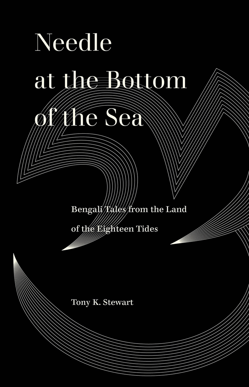 Needle At The Bottom Of The Sea/Product Detail/General Fiction Books