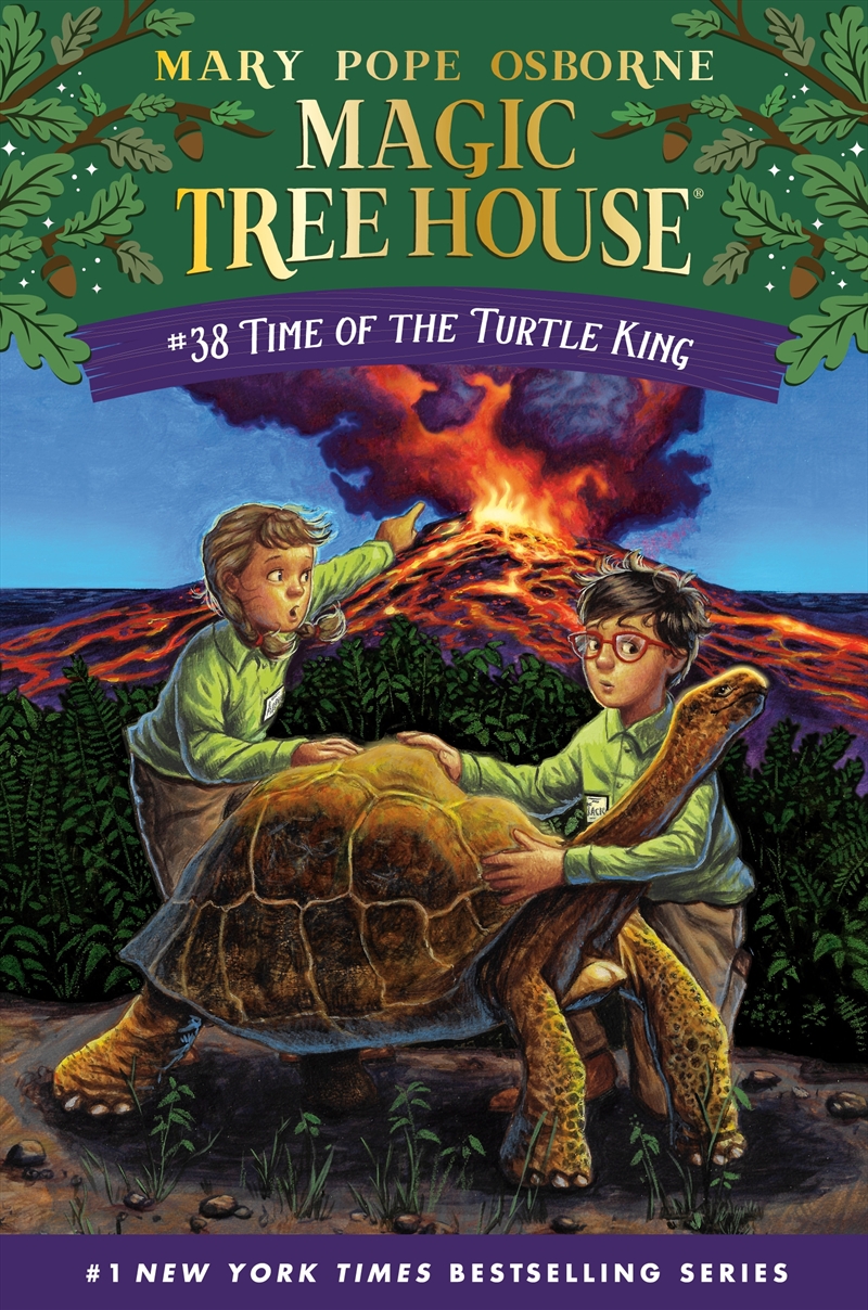 Time of the Turtle King/Product Detail/Childrens Fiction Books