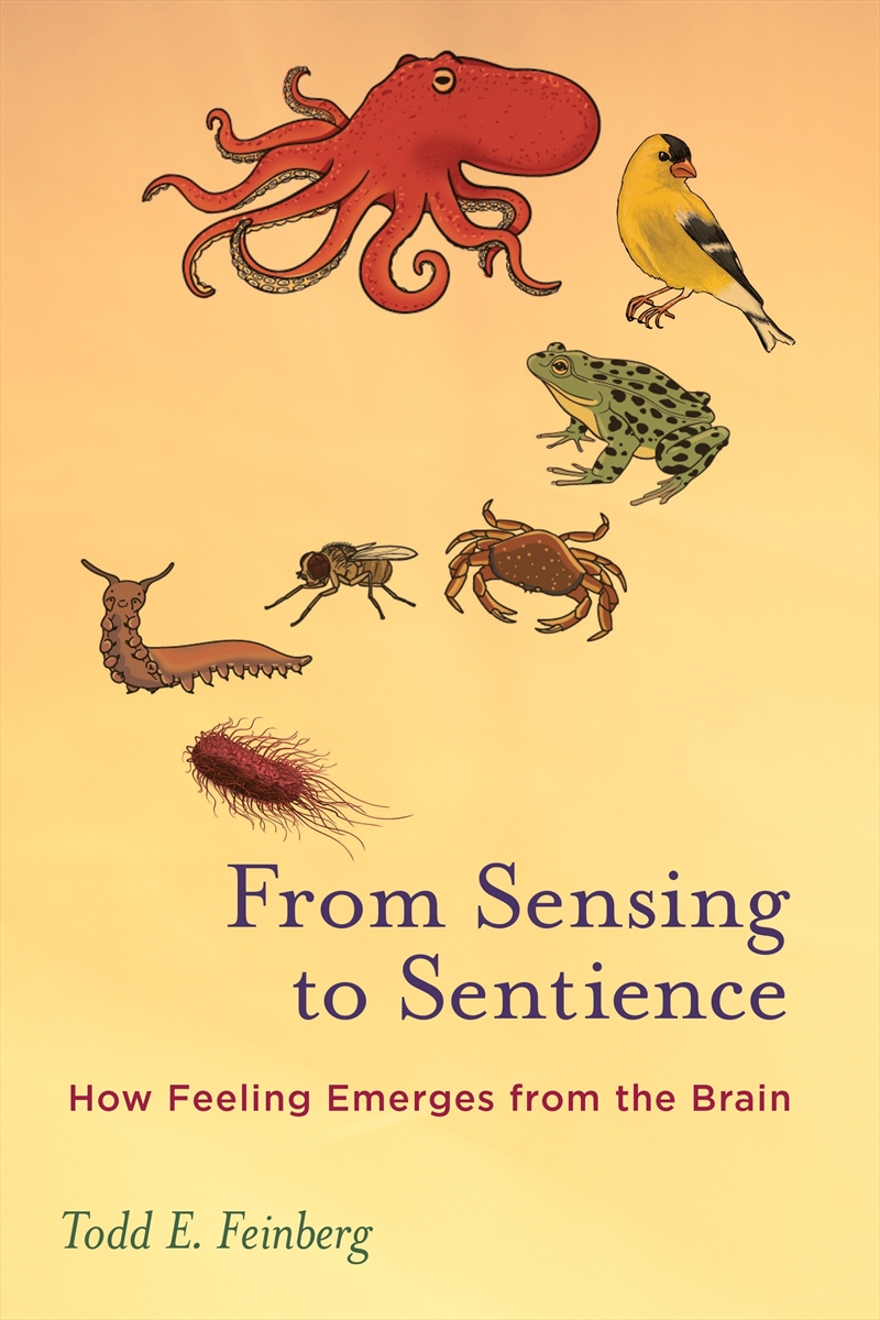 From Sensing to Sentience: How Feeling Emerges from the Brain/Product Detail/Reading