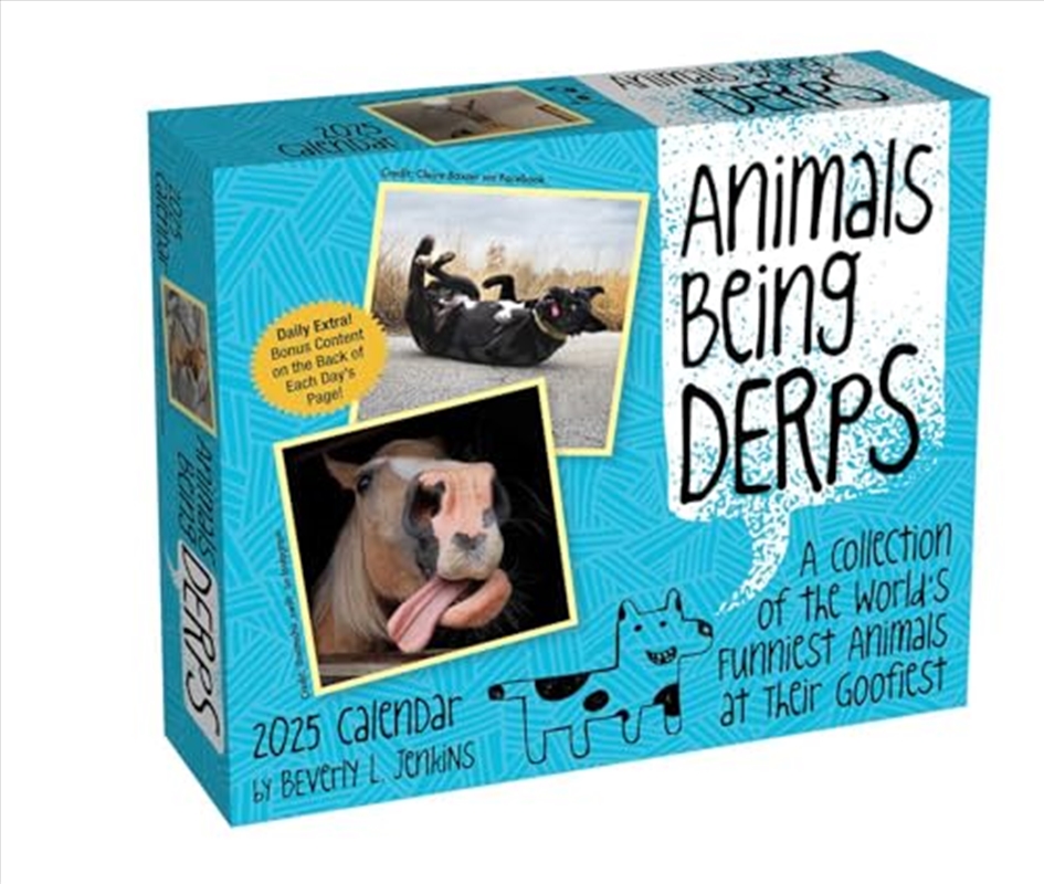 Animals Being Derps 2025 Boxed Calendar/Product Detail/Calendars & Diaries