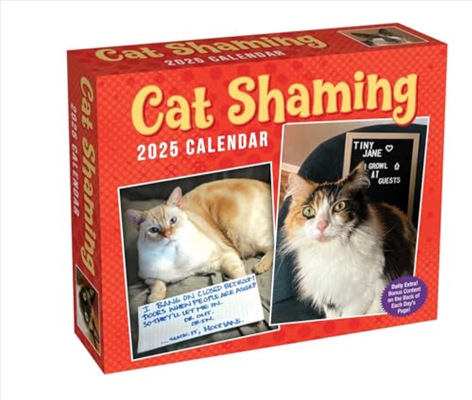 Cat Shaming 2025 Boxed Calendar/Product Detail/Calendars & Diaries