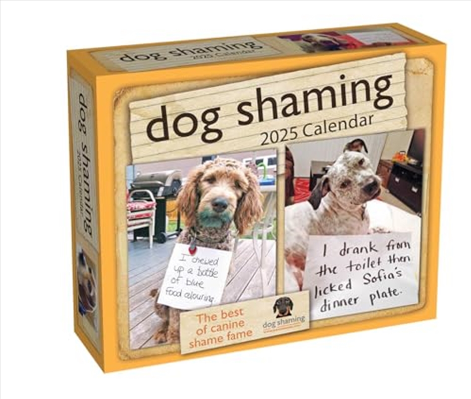 Dog Shaming 2025 Boxed Calendar/Product Detail/Calendars & Diaries