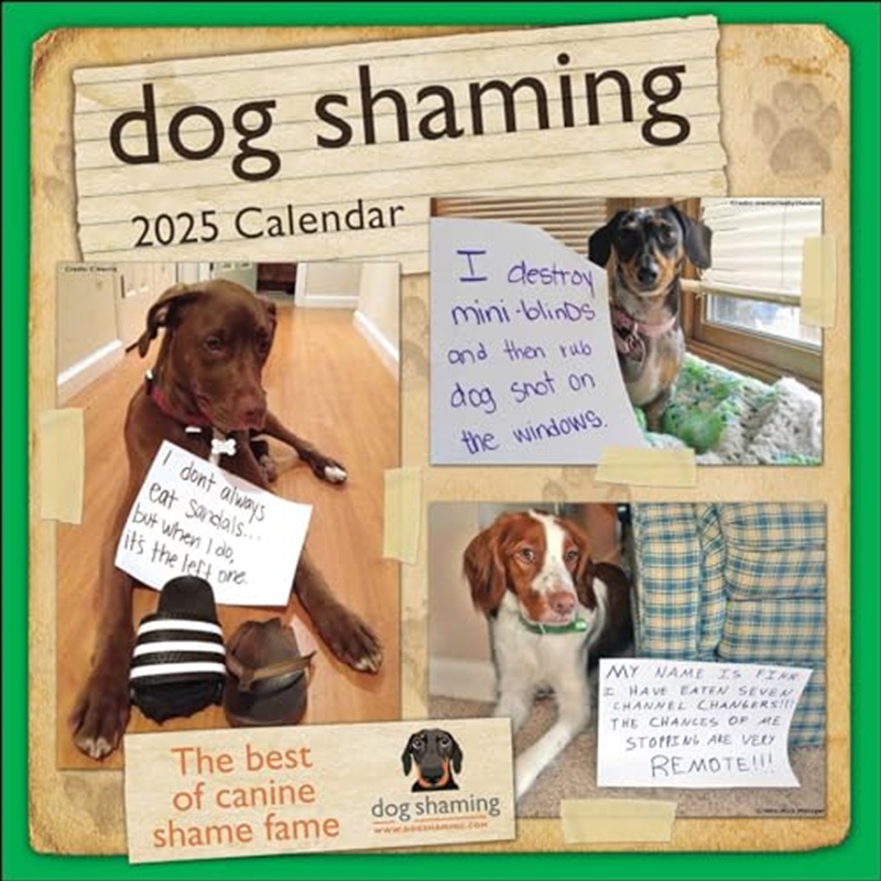 Dog Shaming 2025 Square Calendar/Product Detail/Calendars & Diaries