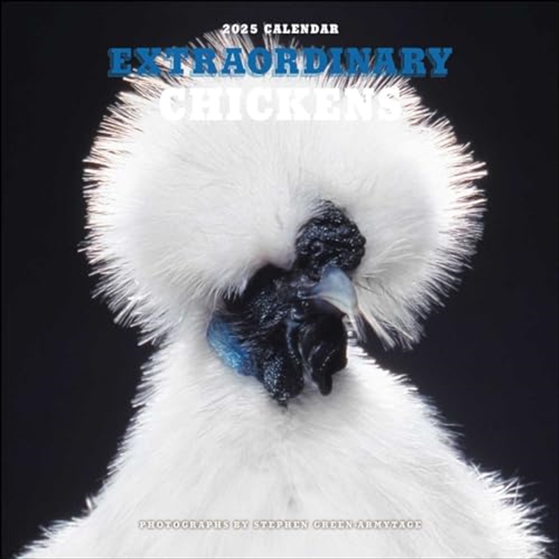 Extraordinary Chickens 2025 Square Calendar/Product Detail/Calendars & Diaries