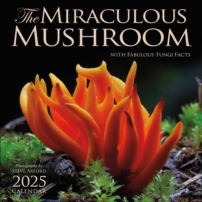 Miraculous Mushroom 2025 Square Calendar/Product Detail/Calendars & Diaries