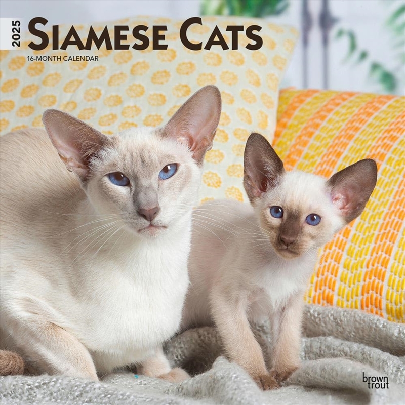 Siamese Cats 2025 Square Calendar/Product Detail/Calendars & Diaries