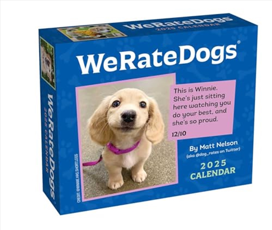 WeRateDogs 2025 Boxed Calendar/Product Detail/Calendars & Diaries