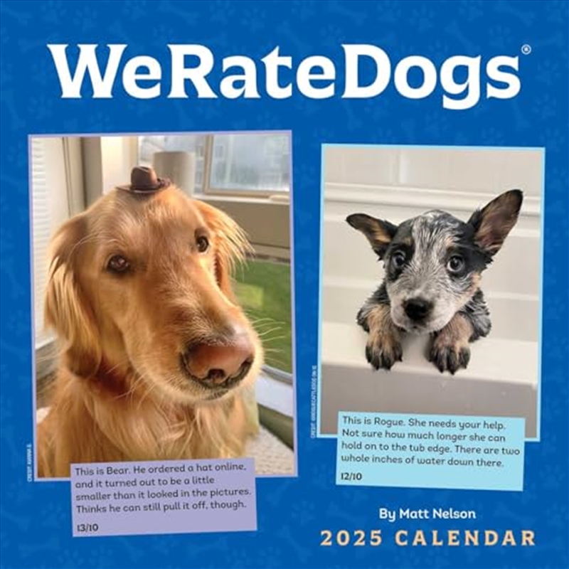 WeRateDogs 2025 Square Calendar/Product Detail/Calendars & Diaries