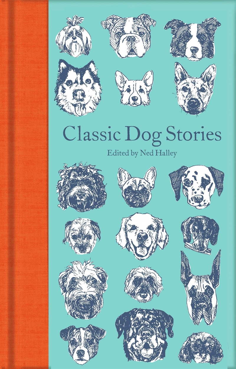 Classic Dog Stories (Macmillan Collector's Library)/Product Detail/General Fiction Books