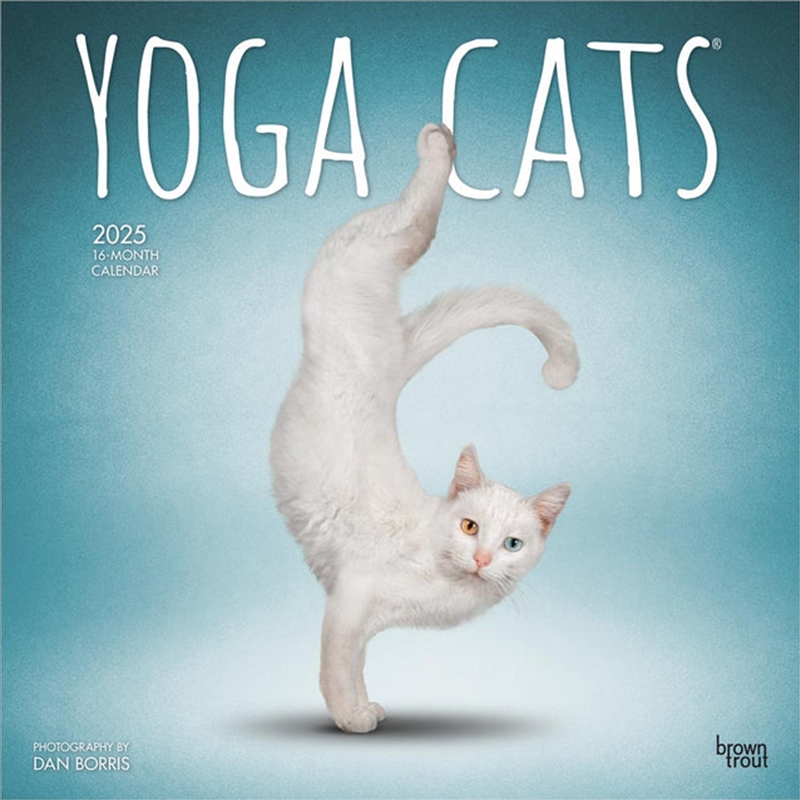 Yoga Cats 2025 Square Calendar/Product Detail/Calendars & Diaries