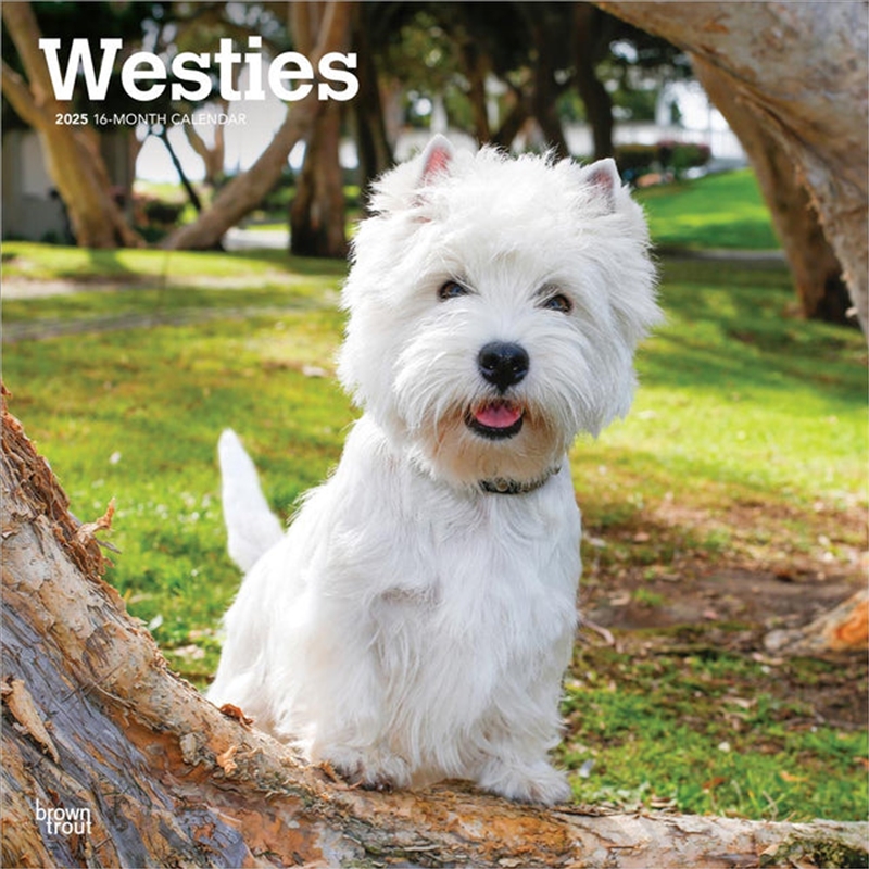 West Highland White Terriers 2025 Square Calendar/Product Detail/Calendars & Diaries