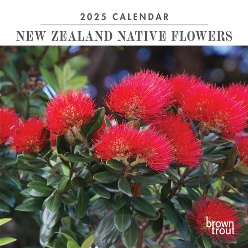 New Zealand Native Flowers 2025 Mini Calendar/Product Detail/Calendars & Diaries