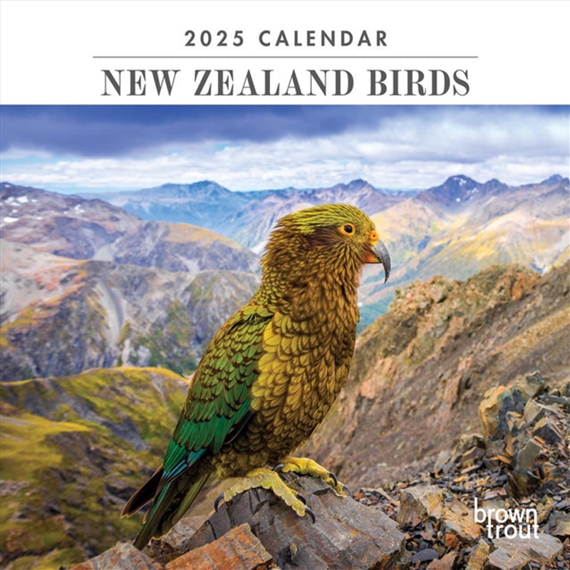 New Zealand Birds 2025 Mini Calendar/Product Detail/Calendars & Diaries