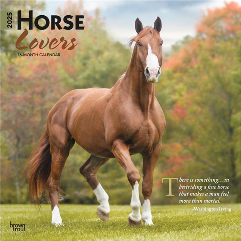 Horse Lovers 2025 Square Calendar/Product Detail/Calendars & Diaries