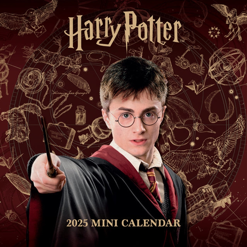 Harry Potter 2025 Mini Calendar/Product Detail/Calendars & Diaries