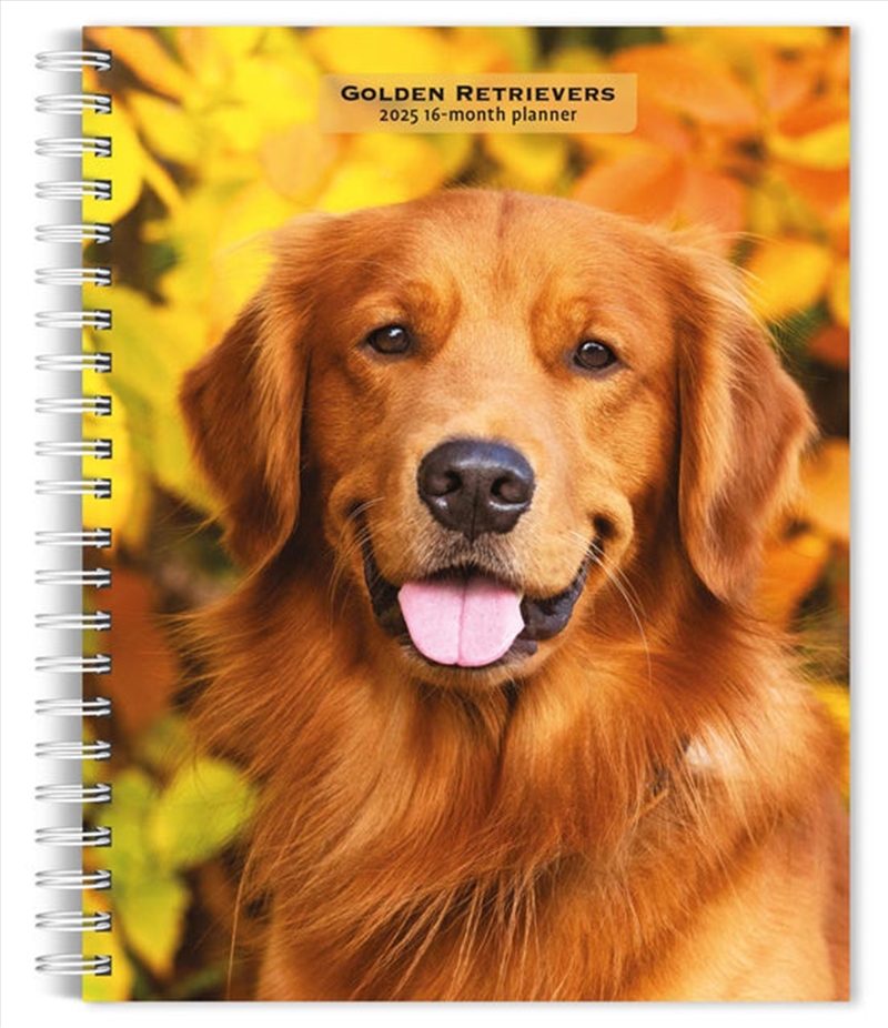 Golden Retrievers 2025 Engagement Calendar/Product Detail/Calendars & Diaries