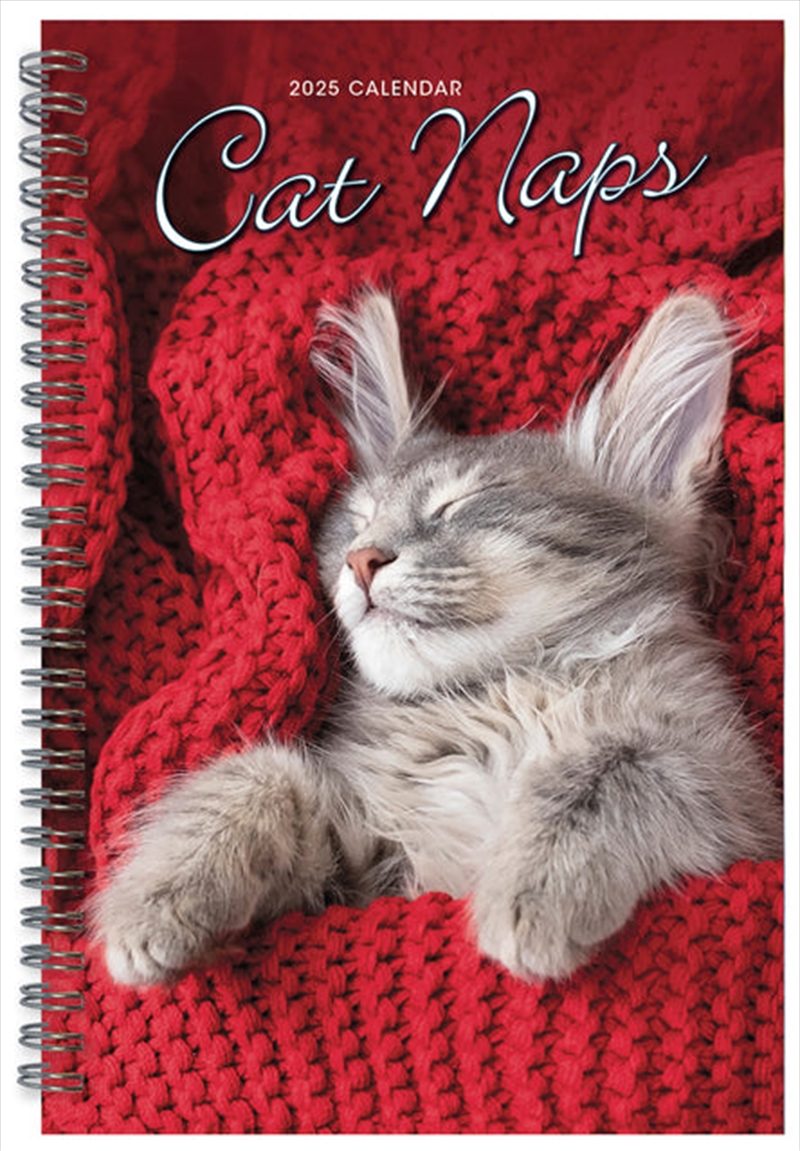 Cat Naps Classic 2025 Engagement Calendar/Product Detail/Calendars & Diaries