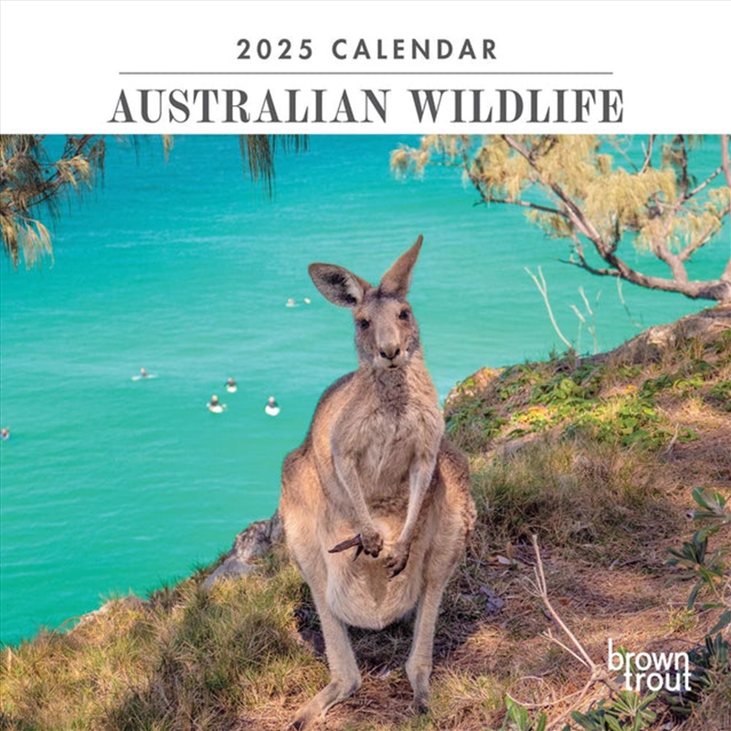 Australian Wildlife 2025 Mini Calendar/Product Detail/Calendars & Diaries