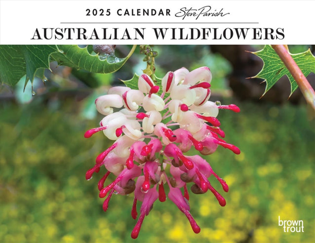 Australian Wildflowers S.Parish 2025 Horizontal Calendar/Product Detail/Calendars & Diaries