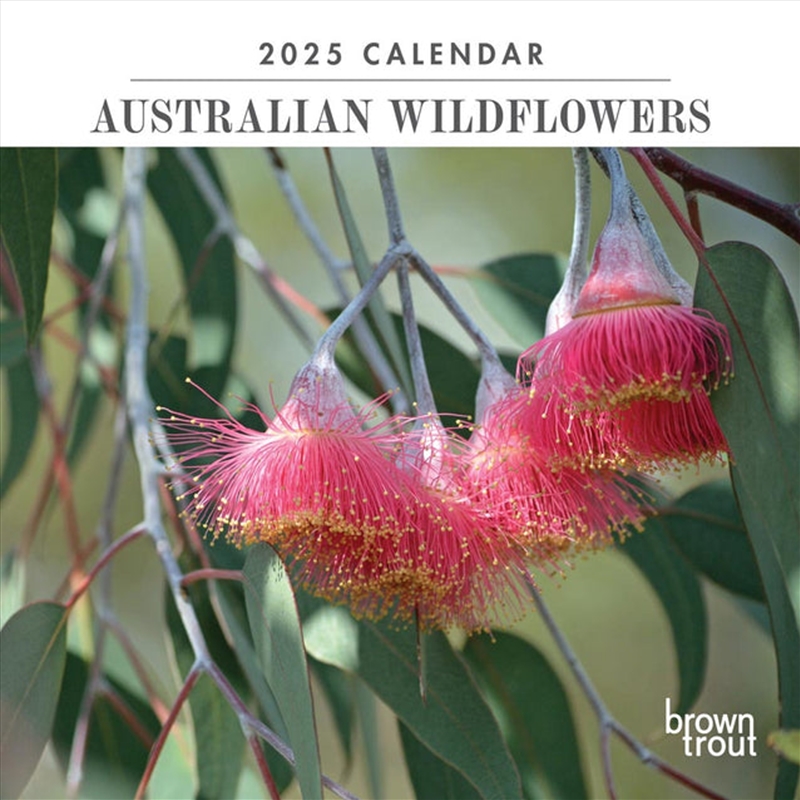 Australian Wildflowers 2025 Mini Calendar/Product Detail/Calendars & Diaries