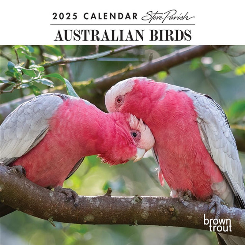 Australian Birds - Steve Parish 2025 Mini Calendar/Product Detail/Calendars & Diaries