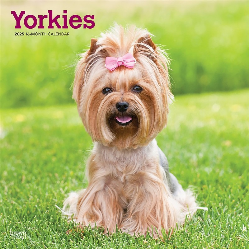 Yorkshire Terriers 2025 Square Calendar/Product Detail/Calendars & Diaries