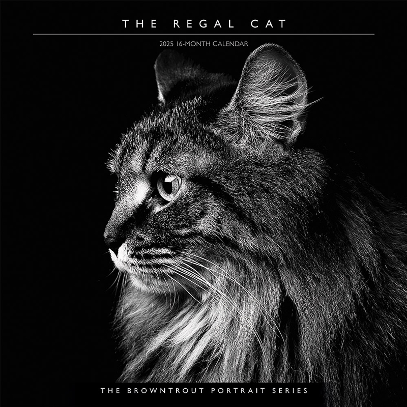 The Regal Cat 2025 Square Calendar/Product Detail/Calendars & Diaries