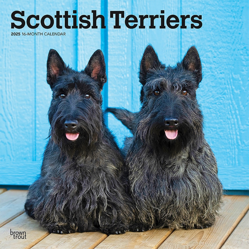 Scottish Terriers 2025 Square Calendar/Product Detail/Calendars & Diaries