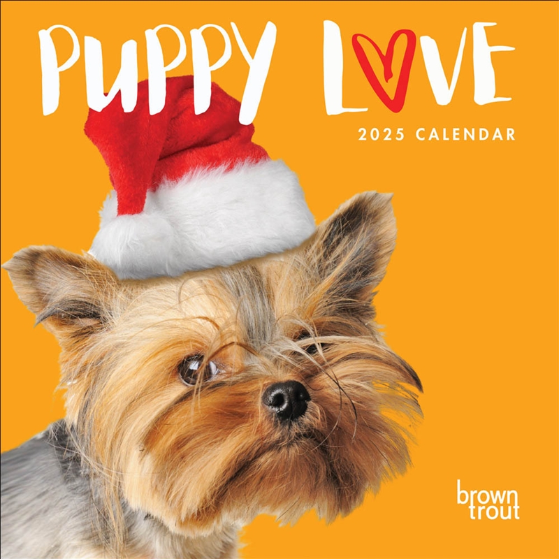 Puppy Love 2025 Square Calendar/Product Detail/Calendars & Diaries