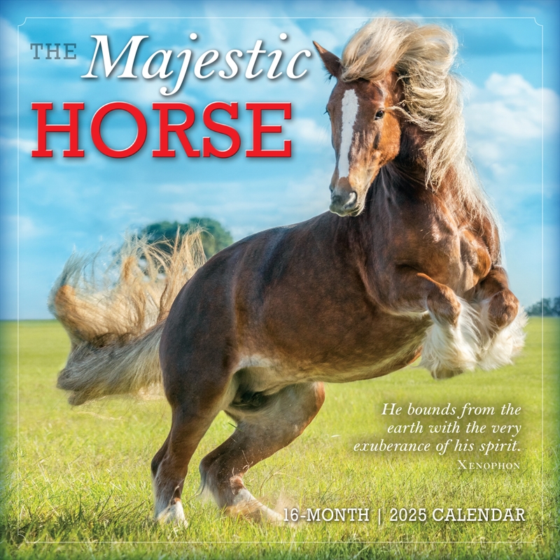 Majestic Horse 2025 Square Calendar/Product Detail/Calendars & Diaries