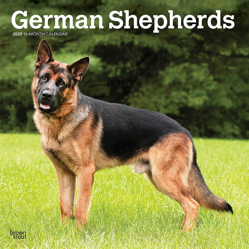 German Shepherds 2025 Square Calendar/Product Detail/Calendars & Diaries