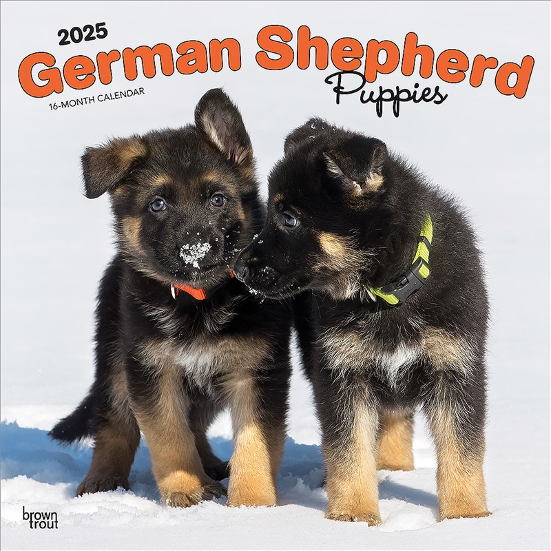 German Shepherd Puppies 2025 Square Calendar/Product Detail/Calendars & Diaries