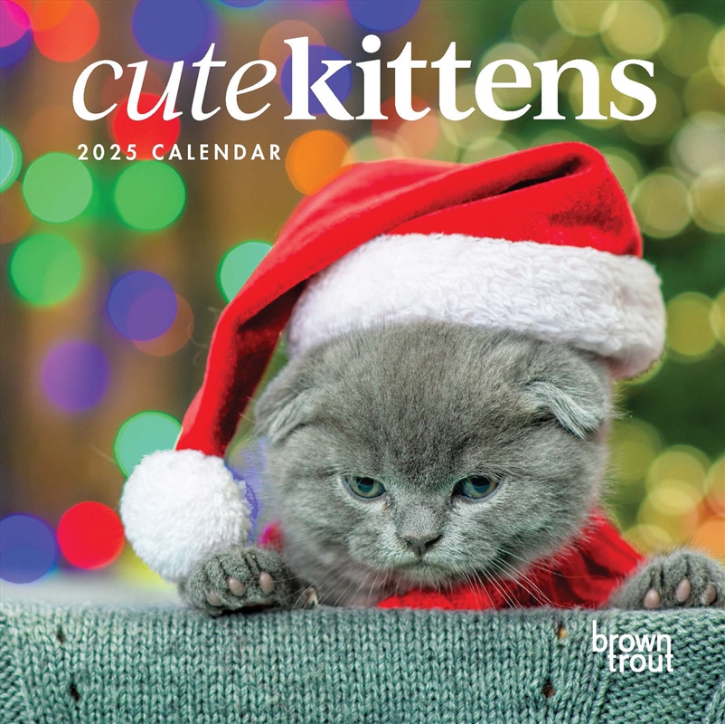 Cute Kittens 2025 Square Calendar/Product Detail/Calendars & Diaries