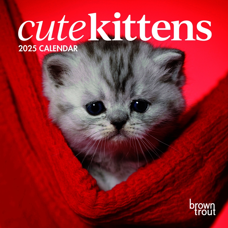 Cute Kittens 2025 Mini Calendar/Product Detail/Calendars & Diaries