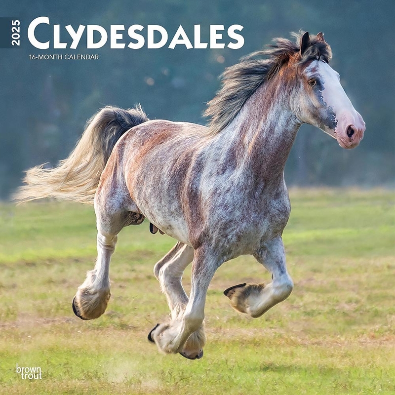 Clydesdales 2025 Square Calendar/Product Detail/Calendars & Diaries