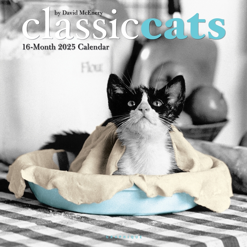 Classic Cats 2025 Square Calendar/Product Detail/Calendars & Diaries