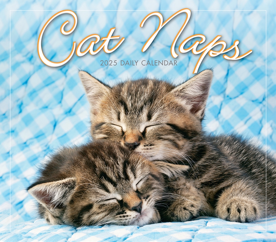 Cat Naps 2025 Boxed Calendar/Product Detail/Calendars & Diaries