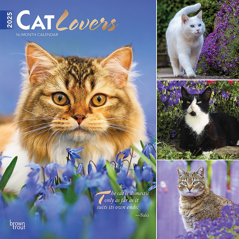 Cat Lovers 2025 Square FOIL Calendar/Product Detail/Calendars & Diaries