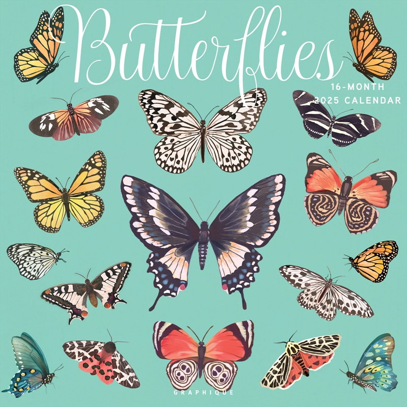 Butterflies 2025 Square Calendar/Product Detail/Calendars & Diaries