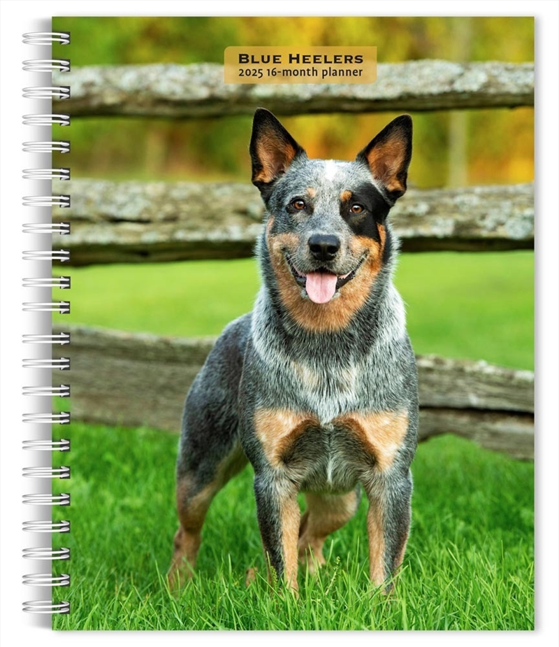 Blue Heelers 2025 Engagement Calendar/Product Detail/Calendars & Diaries