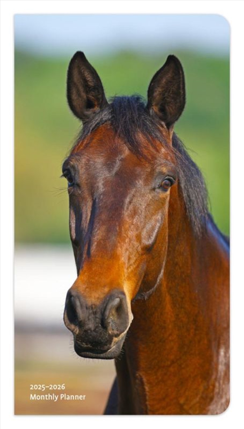 Horse Lovers 2025 Pocket Planner Calendar/Product Detail/Calendars & Diaries